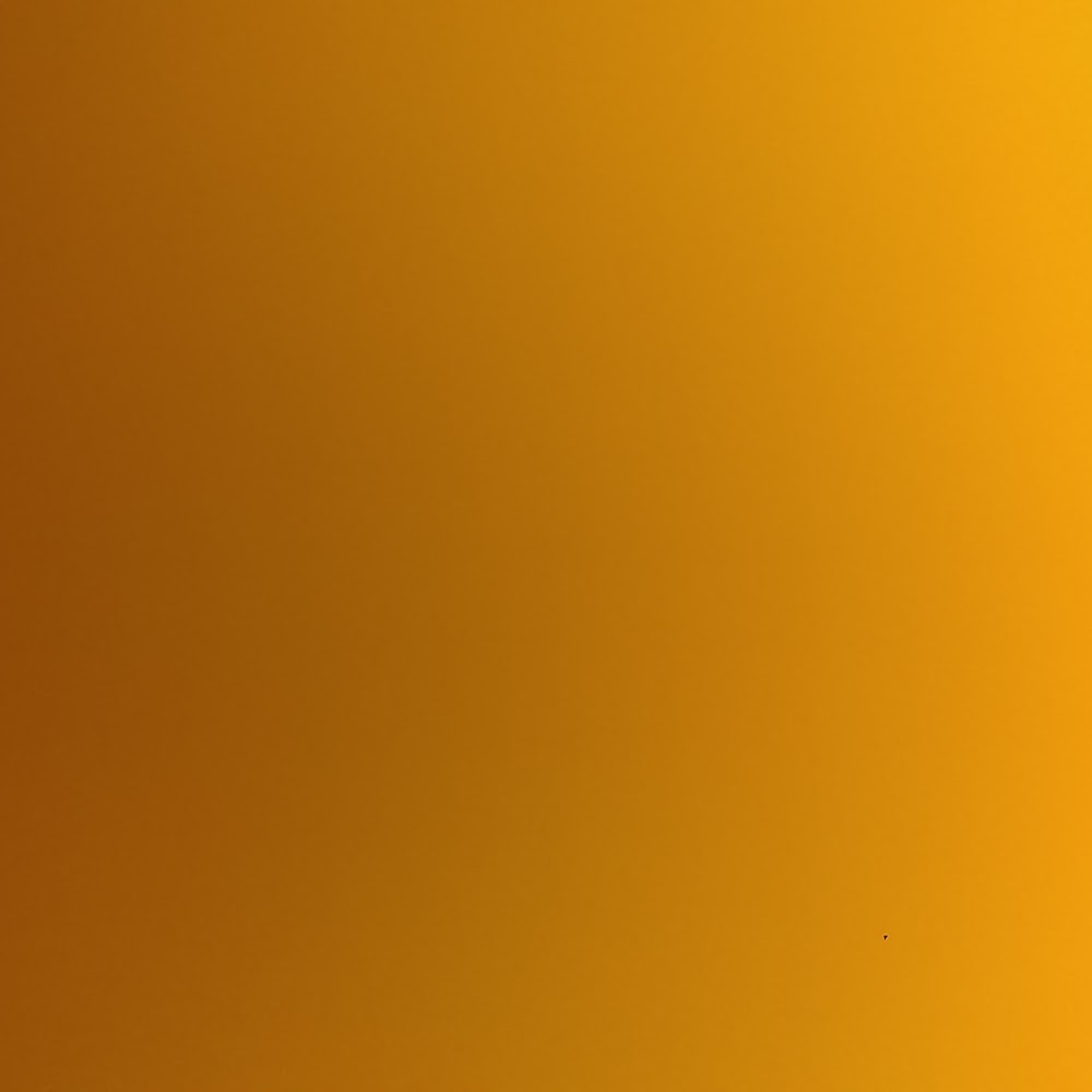 Meet your Posher, Seba